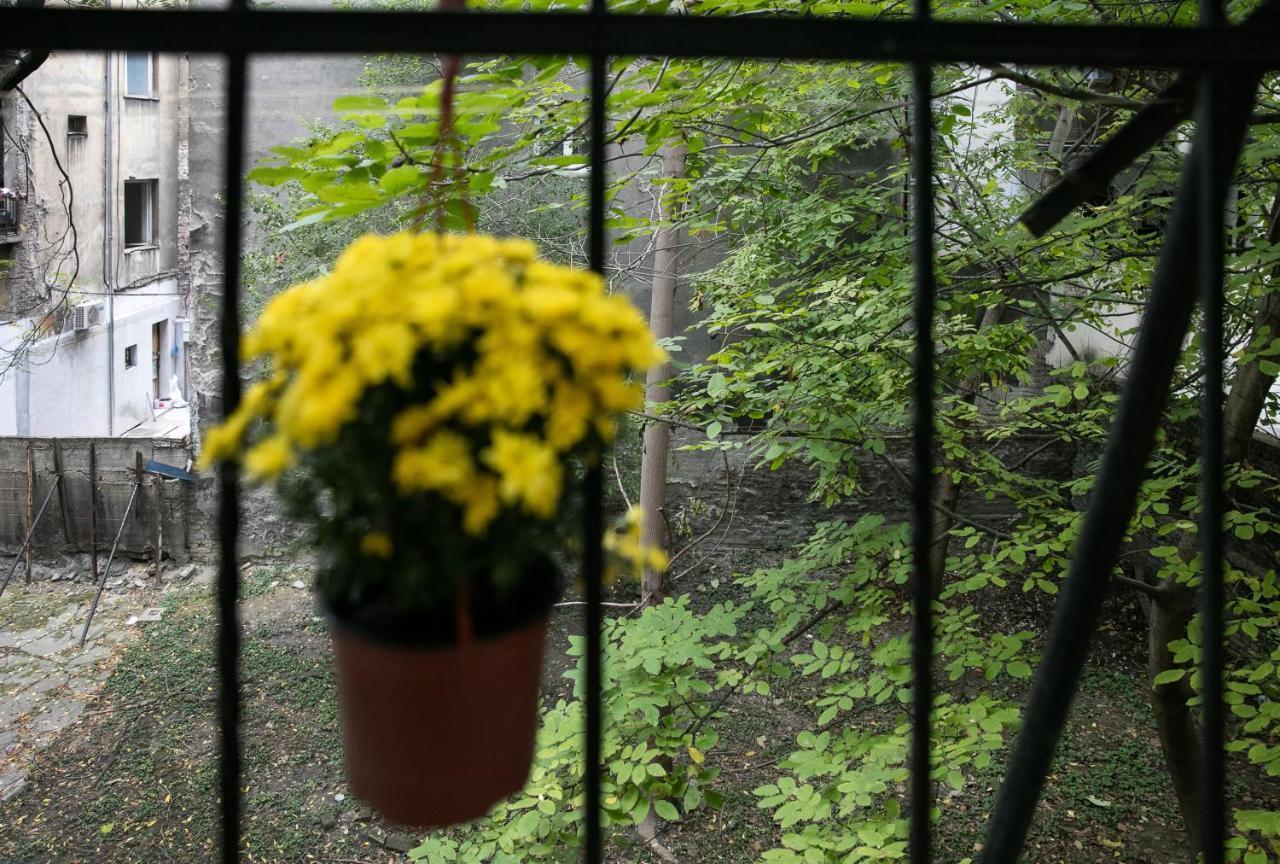 Natalie'S Place Belgrade Luaran gambar